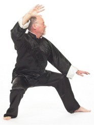 Ian Deavin demonstrates Chen Laojia form