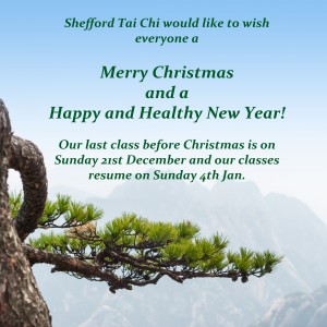 Tai Chi classes Christmas 2014