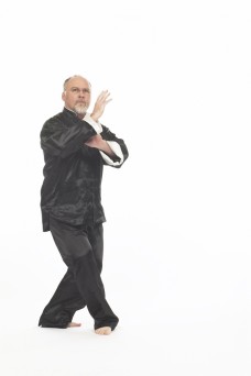 Tai Chi Stepping at an angle