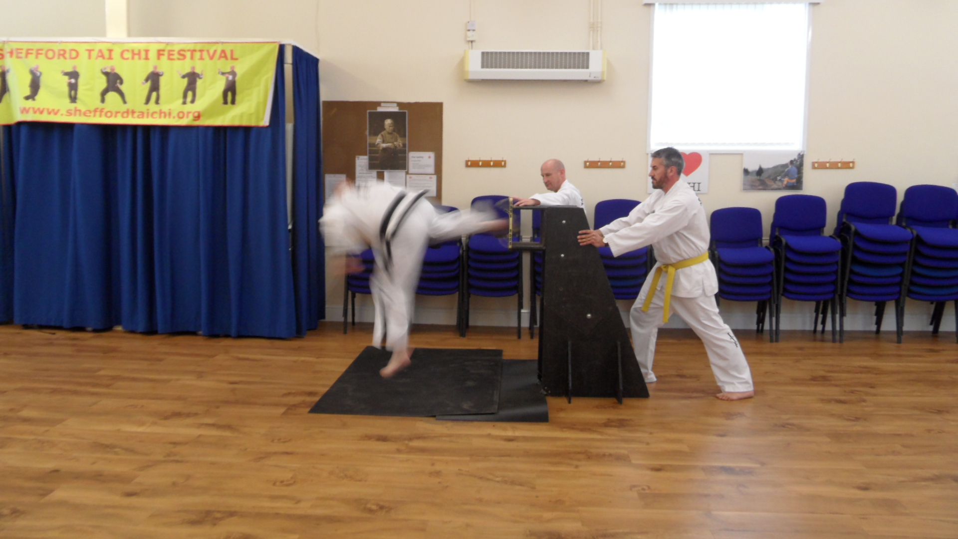 Shefford Tai Chi Festival Taekwando 